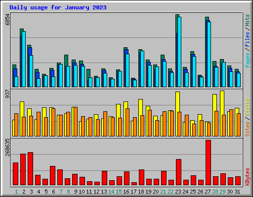 Daily usage for January 2023