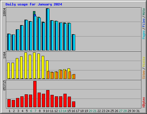 Daily usage for January 2024