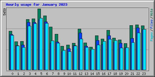 Hourly usage for January 2023