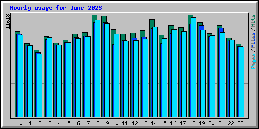 Hourly usage for June 2023