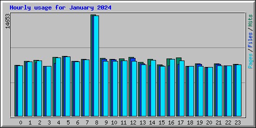 Hourly usage for January 2024