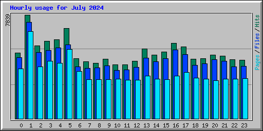 Hourly usage for July 2024