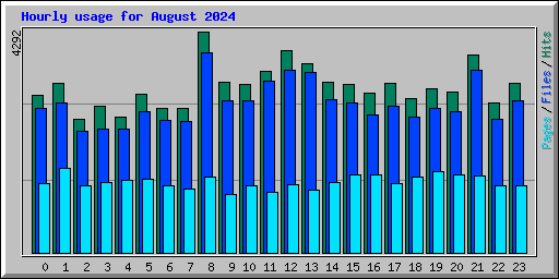 Hourly usage for August 2024