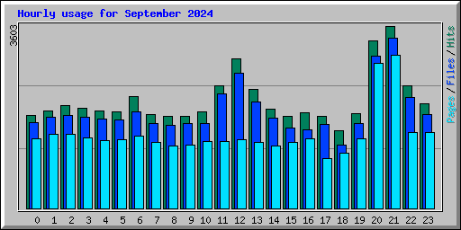 Hourly usage for September 2024