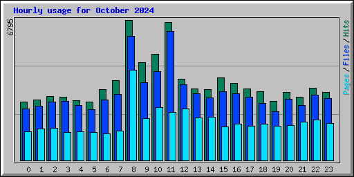 Hourly usage for October 2024