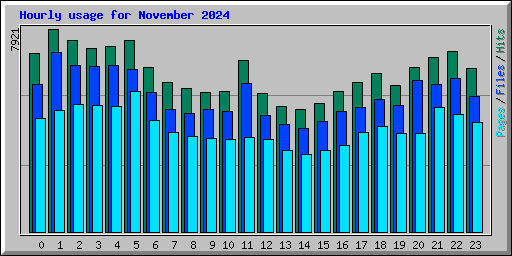 Hourly usage for November 2024