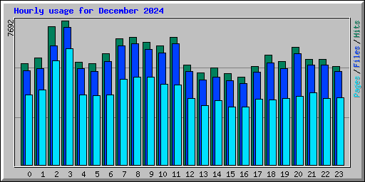 Hourly usage for December 2024