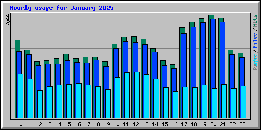 Hourly usage for January 2025
