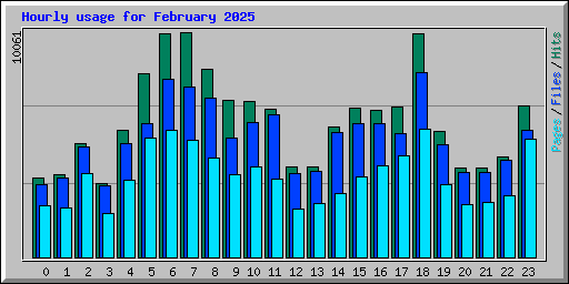 Hourly usage for February 2025