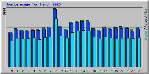 Hourly usage for March 2025