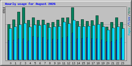 Hourly usage for August 2026